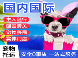 西郊航空物流国际宠物托运 【国